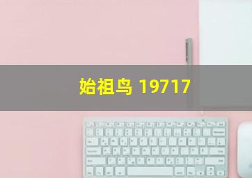 始祖鸟 19717